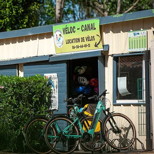 Bike rentals Bike rentals